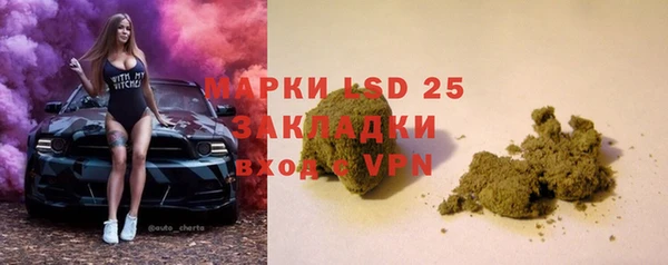 PSILOCYBIN Белокуриха