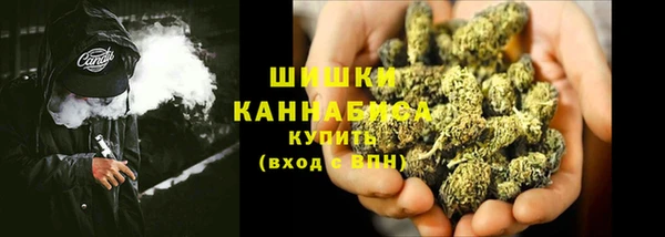 PSILOCYBIN Белокуриха