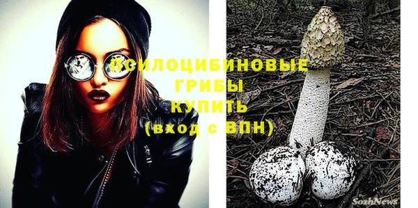PSILOCYBIN Белокуриха