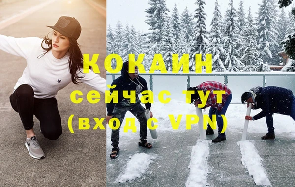 PSILOCYBIN Белокуриха
