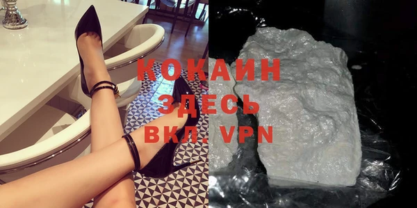 PSILOCYBIN Белокуриха