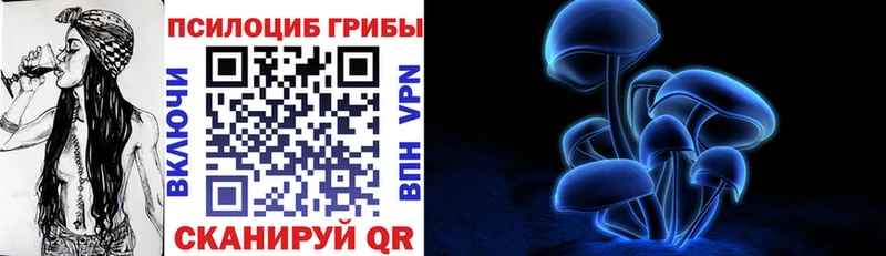 Псилоцибиновые грибы прущие грибы Пикалёво